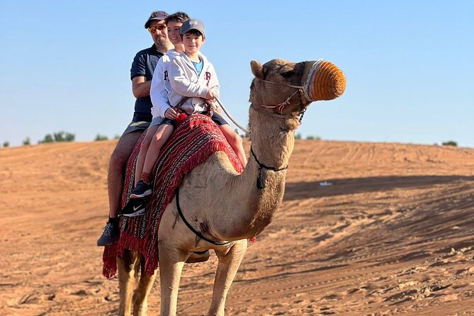 Abu Dhabi morning desert safari - Private car - The drive from Abu Dhabi to Al Khatim