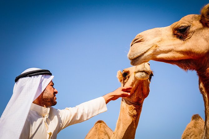 Abu Dhabi: Morning Desert Safari with Camels and Sandboarding - First desert stops and photo time