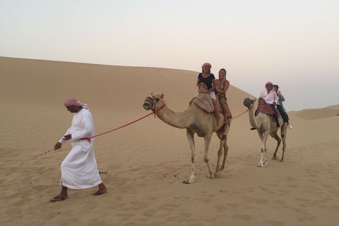 Abu Dhabi Morning Desert Safari - The camel farm and a closer look at desert life