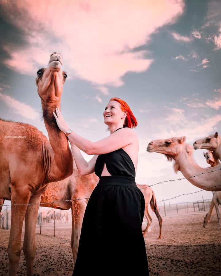 Abu Dhabi: Morning Dune Drive, Camel Ride & Sandboarding - What to wear and bring