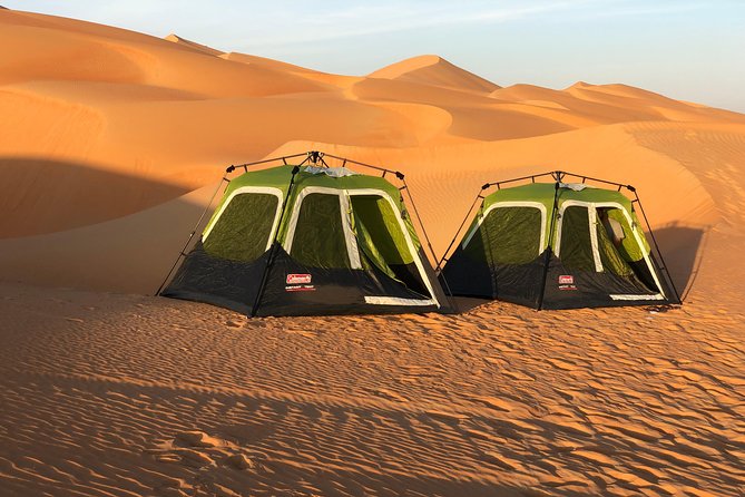 Abu Dhabi Private Desert Camping With BBQ Dinner - The daytime safari and dune driving