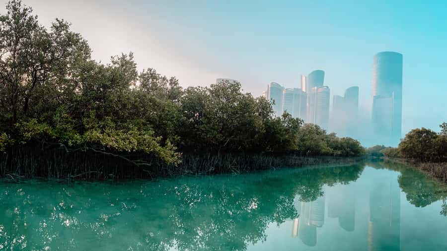 Abu Dhabi: Reem Central Park 2-hour Guided Kayak Tour - Mangrove channels and urban silence