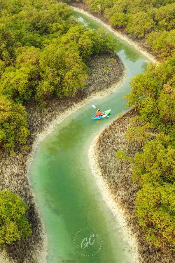 Abu Dhabi: Reem Central Park 2-hour Guided Kayak Tour - A calm paddle for beginners