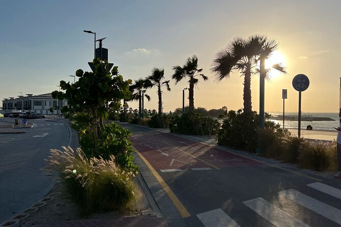 Abu Dhabi Stopover & Layover Tour – Private, Fast & Flexible! - What the private vehicle and guide mean