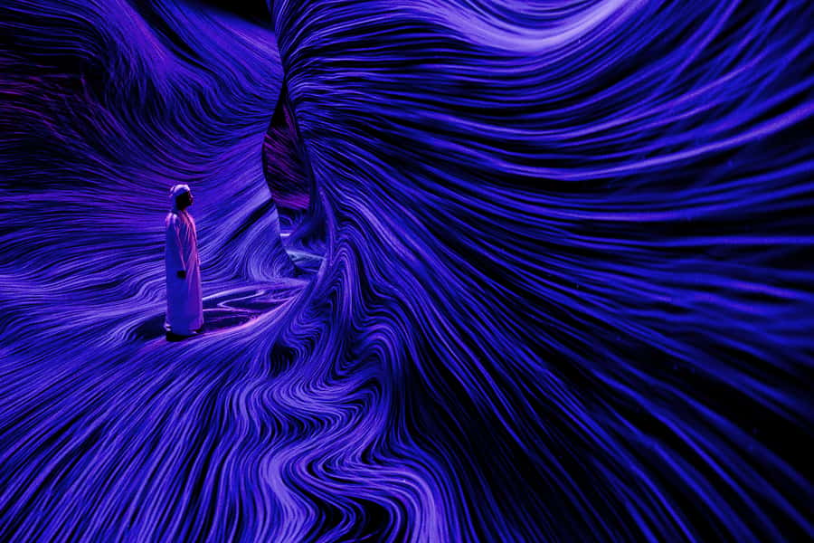Abu Dhabi: teamLab Phenomena Entry Ticket - Key Points at a Glance