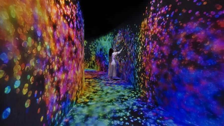 Abu Dhabi: teamLab Phenomena Entry Ticket - What happens inside the 10-plus rooms