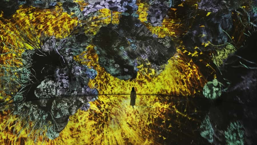 Abu Dhabi: teamLab Phenomena Entry Ticket - Practical ways to make the visit better