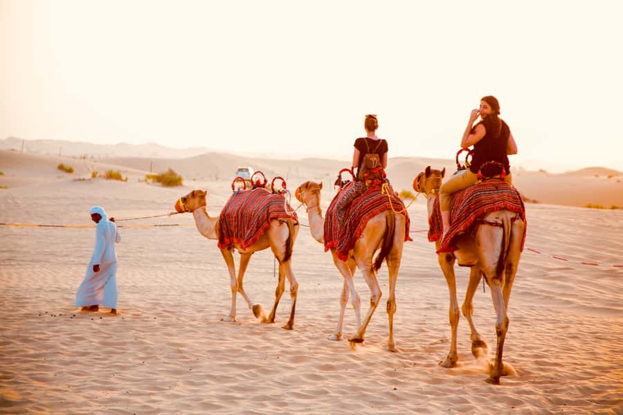 Abu Dhabi Traditional Desert Camp Experience And Quad Bike - From Abu Dhabi streets to open sand