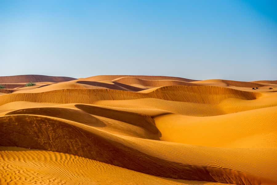 Abu Dhabi Traditional Desert Camp Experience And Quad Bike - Sunset, sandboarding, and a short quad-bike ride