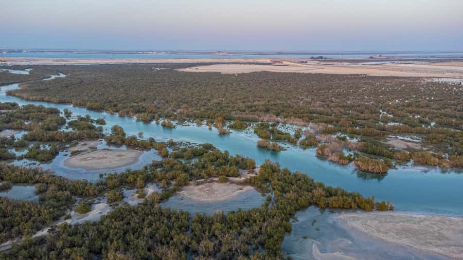 Abu Dhabi: Yas Island Self-Driving Guided Speedboat Tour - Why driving your own Rhino Rider changes the tour