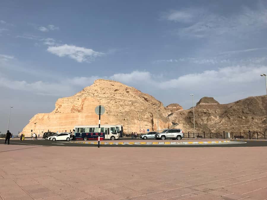 Al Ain City Tour | Oasis, Heritage & History Landscapes - The camel market is the least predictable stop