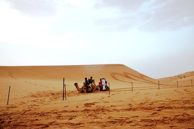 Al Ain Desert Safari with Buffet Dinner - What the $89 price really covers