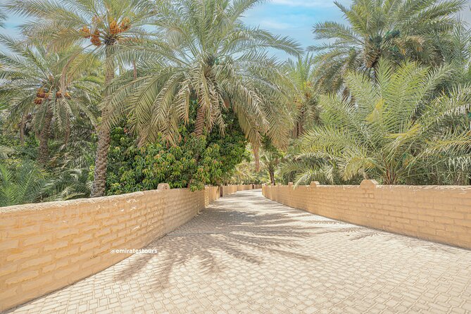 Al Ain Full Day Trip from Abu Dhabi with Lunch - Camel racing, livestock, and the food market
