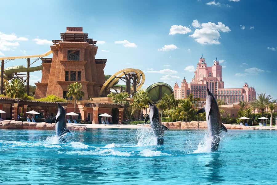 Aquaventure World: Dolphin Paddle and Waterpark Day Pass - Twenty minutes on the water at Dolphin Bay