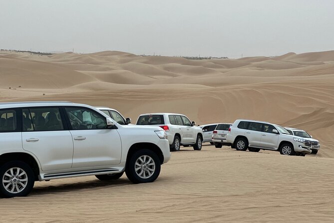 Arabian Desert Safari Abu Dhabi: 6Hour Tour with BBQ & Live Shows - Sandboarding, camels and desert photographs