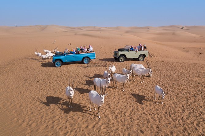 Authentic Safari in Vintage Land Rover with Traditional Dinner - Music, Yola, drumming, and shisha after dark