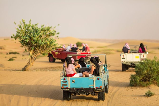 Authentic Safari in Vintage Land Rover with Traditional Dinner - The afternoon transfer from Dubai