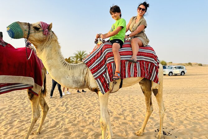 Best Dubai Desert Safari with Buffet Dinner,Sand Boarding & Shows - How the shared format affects the evening
