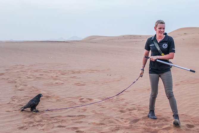 Best of Dubai : Dubai City Tour + Evening Desert Safari with all Activities - Camels, Falcons, and Sandboarding