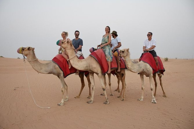 Best of Dubai : Dubai City Tour + Evening Desert Safari with all Activities - Drive-By Views of Dubai’s Big Icons