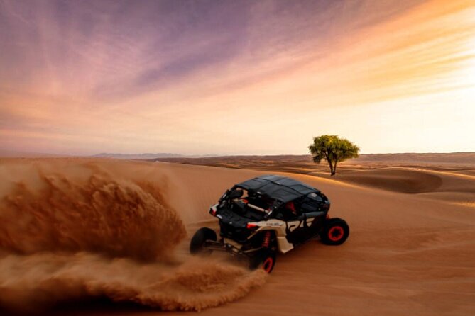 CAN-AM Buggy 04 Seater with Camel Riding and Sand Skiing - Camel riding adds a slower desert moment