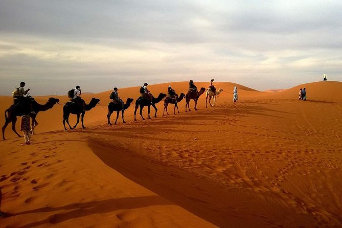 Combo Dubai City Tour and 4X4 Desert Safari with Dinner - Al Fahidi Fort and Dubai Creek