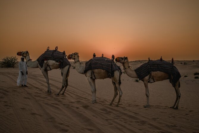 Deluxe Sunset Desert Safari: SandSurfing, Camel Ride & BBQ dinner - Sandboarding at Sunset