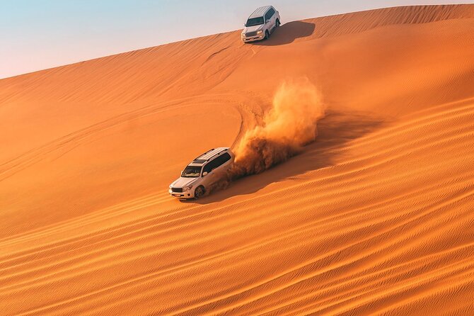 Desert Safari Abu Dhabi - Camels, coffee, costumes, and photo stops