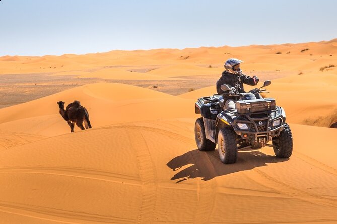 Desert Safari Dubai - Shows bring energy, but not every night