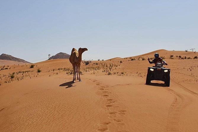 Desert Safari Dubai (PREMIUM VIP) - Camel riding is more of a photo stop
