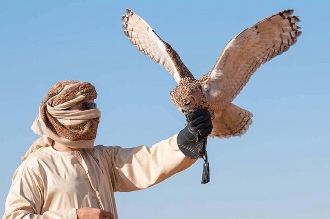 Desert Safari Dubai Sand Bashing, Camel Ride, Shows, Live BBQ - Camel riding and sandboarding