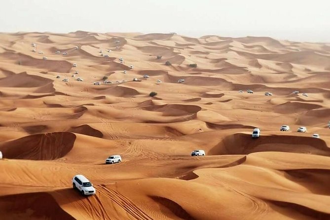 Desert Safari Dubai - The red dunes are the reason to come