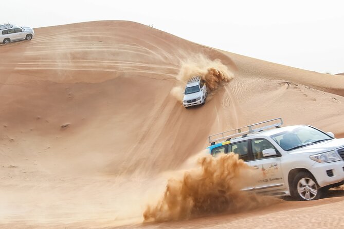 Desert Safari Experience with Dune Bashing and Dinner in Dubai - Meeting camels and watching a falcon show