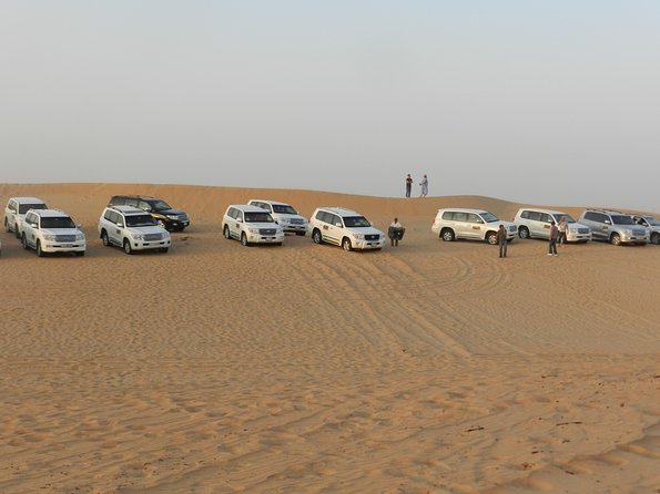Desert Safari in a 4 x 4 with Sand Ski and Camel Ride from Dubai - A four-hour taste of the Arabian desert