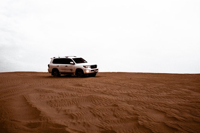Desert Safari in Dubai with full package - no hidden cost - The camel ride is more photo stop than journey