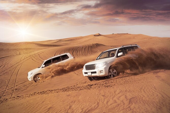 Desert Safari with BBQ Dinner from Dubai - Key points to know before booking