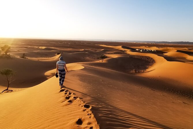 Desert Safari With BBQ Dinner, Quad Ride And And Sand-boarding - BBQ dinner with Middle Eastern and international choices