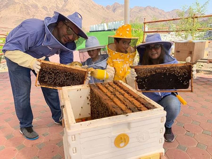 Discover Hatta Hidden Gem Private Tour with Kayaking & Honey - What Is Included and What to Clarify