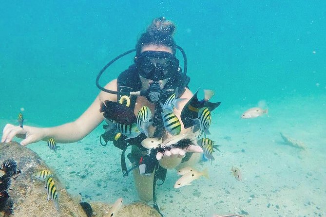 Discover Scuba Diving in Dubai - The instructors are the strongest part