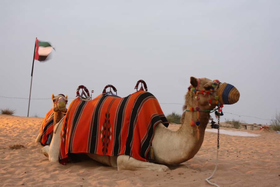Dubai 4WD Evening Desert Safari - Leaving Dubai behind at 2:15 PM