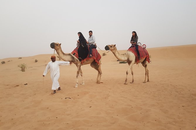 Dubai 4x4 Desert Safari, Quad Bike, Camel Ride & BBQ Dinner - Sandboarding and the sunset photo stop