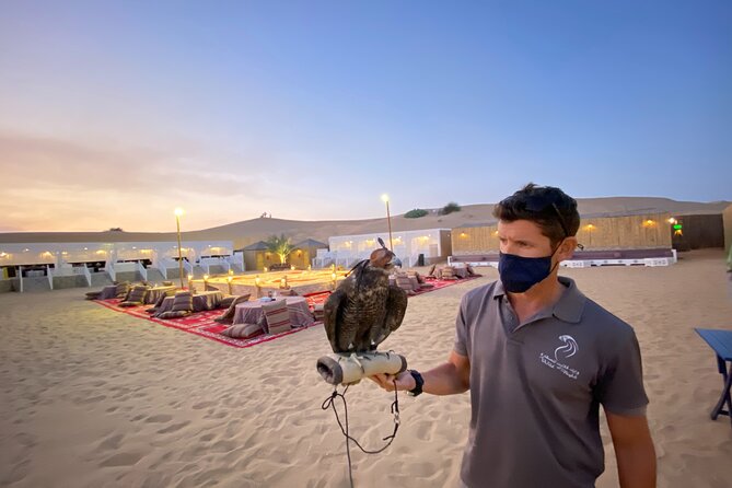 Dubai Afternoon Desert Safari and BBQ Dinner - Camel riding and sand boarding at the camp