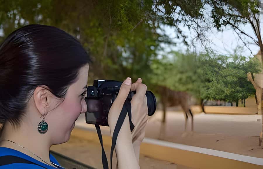 Dubai: Al Ain Garden City with Conservation Zoo - Who should book this Al Ain day trip?