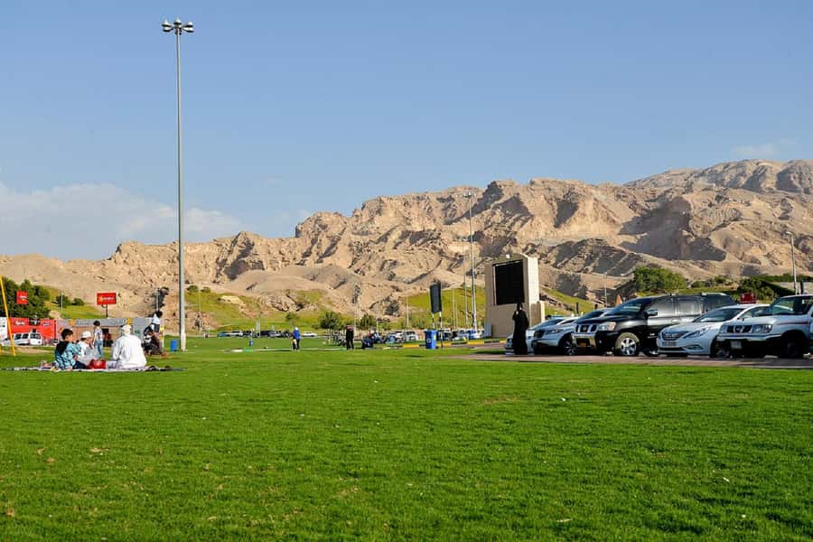 Dubai: Al Ain Garden City with Conservation Zoo - Meeting camels at the UAE’s largest market