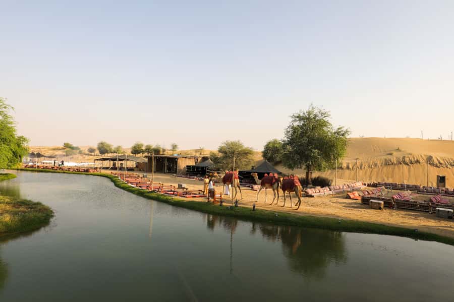 Dubai: Al Marmoom and Al Qudra Lakes Guided Tour with Dinner - Key points at a glance