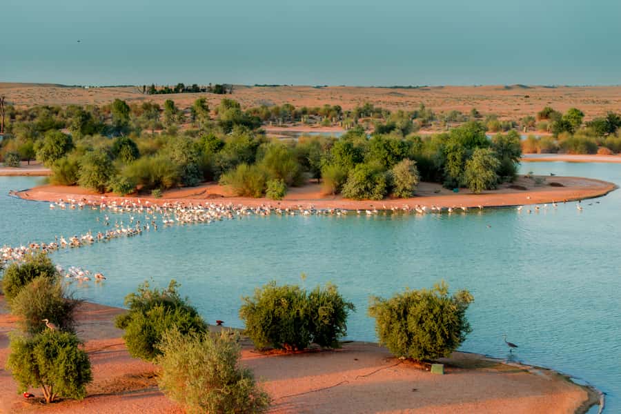 Dubai: Al Marmoom and Al Qudra Lakes Guided Tour with Dinner - Love Lake and the best photo stop