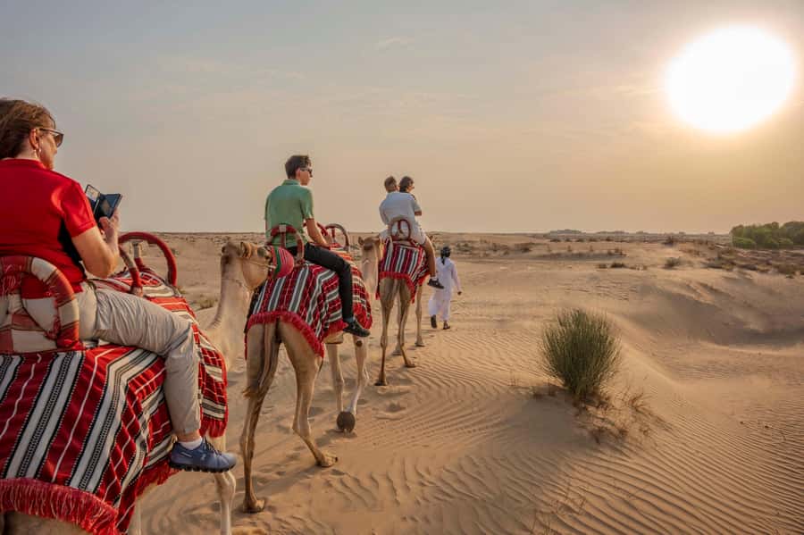 Dubai: Al Marmoom Oasis Camp Experience with Bedouin Dinner - Reaching Last Exit at Al Qudra