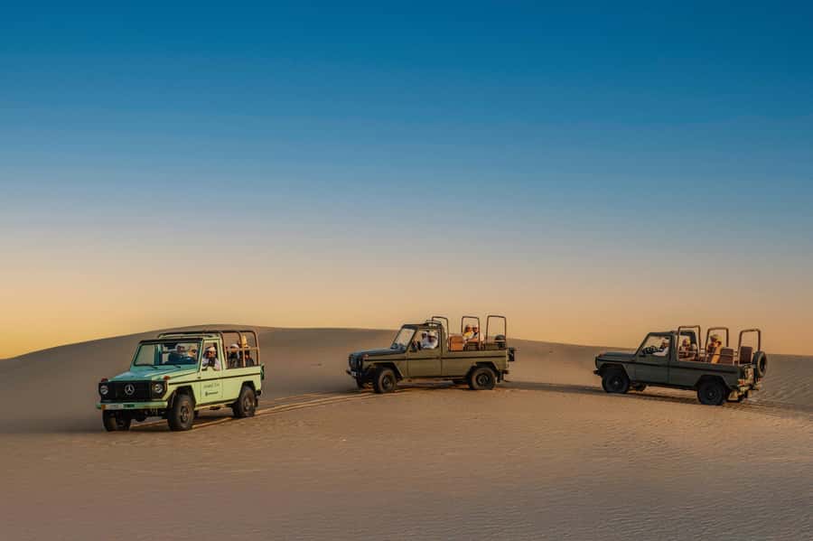 Dubai: Al Marmoom Oasis Safari, Animal Spotting & Breakfast - Why Al Marmoom feels different from a standard Dubai safari