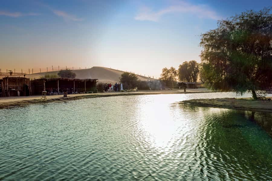 Dubai: Al Marmoom Oasis Safari, Animal Spotting & Breakfast - Wildlife spotting in Al Marmoom Oasis