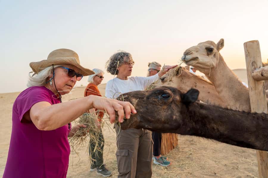 Dubai: Al Marmoom Oasis Safari, Animal Spotting & Breakfast - Is $134 a fair price?